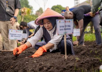 Kota Bandung Serentak Tanam Cabai Dan Bawang Di Seluruh Kecamatan