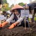 Kota Bandung Serentak Tanam Cabai Dan Bawang Di Seluruh Kecamatan